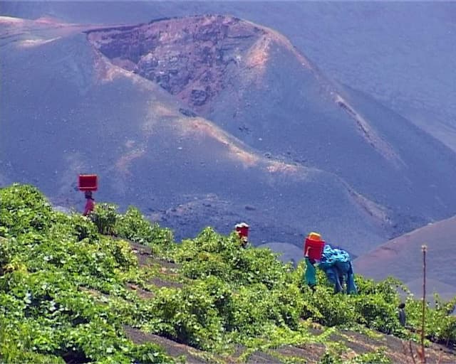 Ilha do Fogo acolhe salão internacional do vinho e produtos agropecuários