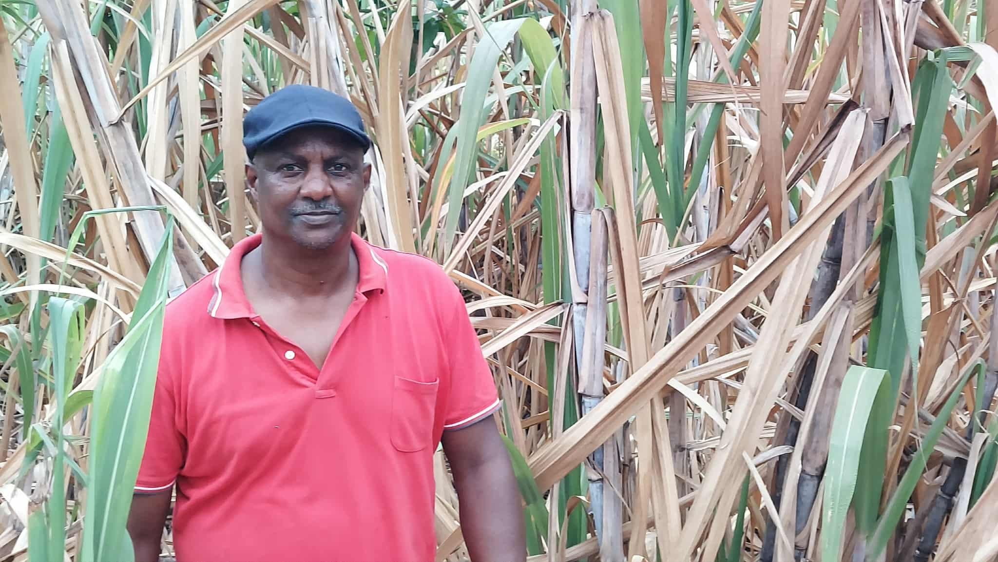 Carlos Lopes - Agricultor em STP (Cvsports Jogo Limpo)